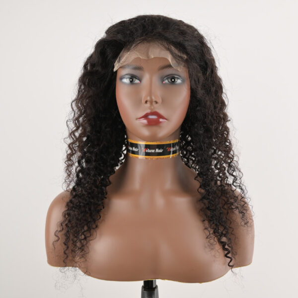Brazilian Curly 5x5 Lace Closure Wig