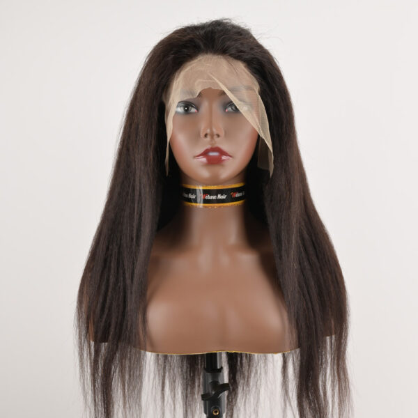 Brazilian Kinky Straight 13x4 Lace Front Wig